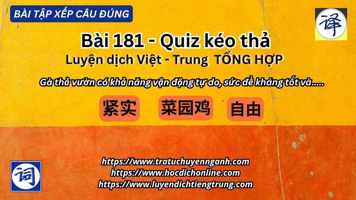 Bài tập xếp câu 181 - Luyện dịch Việt-Trung